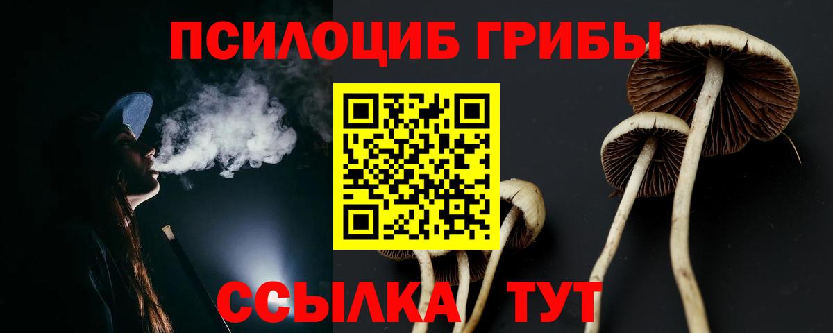 Камень-на-Оби  Псилоцибиновые грибы GOLDEN TEACHER  Псилоцибиновые грибы Cubensis  Вход с VPN 